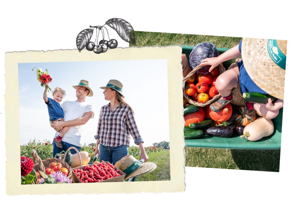 La cueillette en famille - cueillir ses légumes et ses fruits